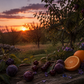 Dark Orchard Candle Refill