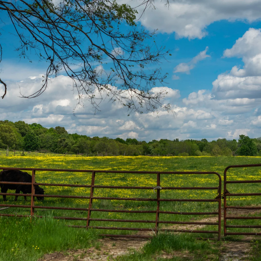Peaceful Pastures Candle Refill