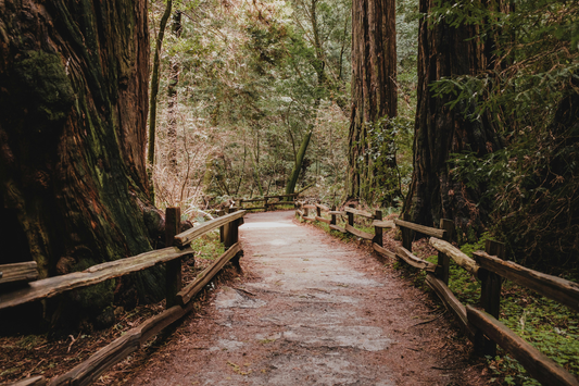 Out in the Boonies Candle