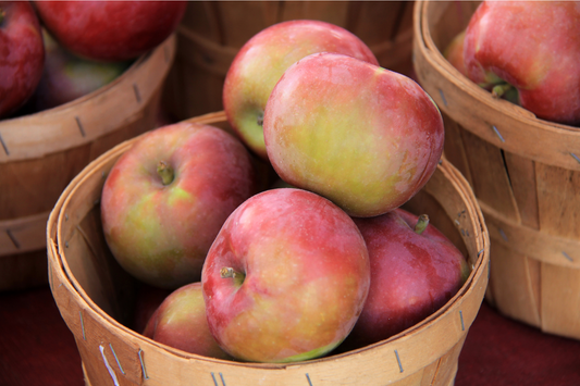 Baaaaaaabbin' for Apples Crackling Wood Wick Candle